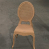 Executive Plastic Chair